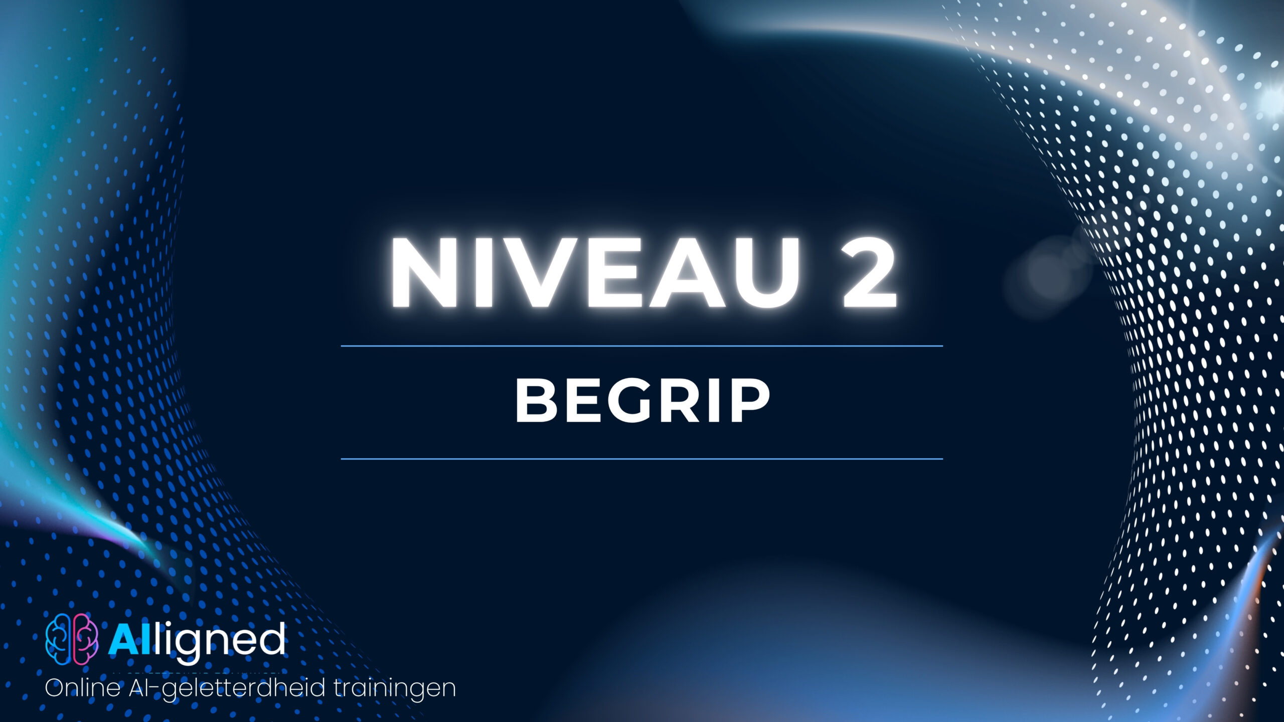 Niveau 2 - Begrip