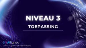 Niveau 3 – Toepassing