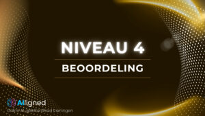 Niveau 4 – Beoordeling